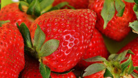 jahody strawberries-1303374 1280